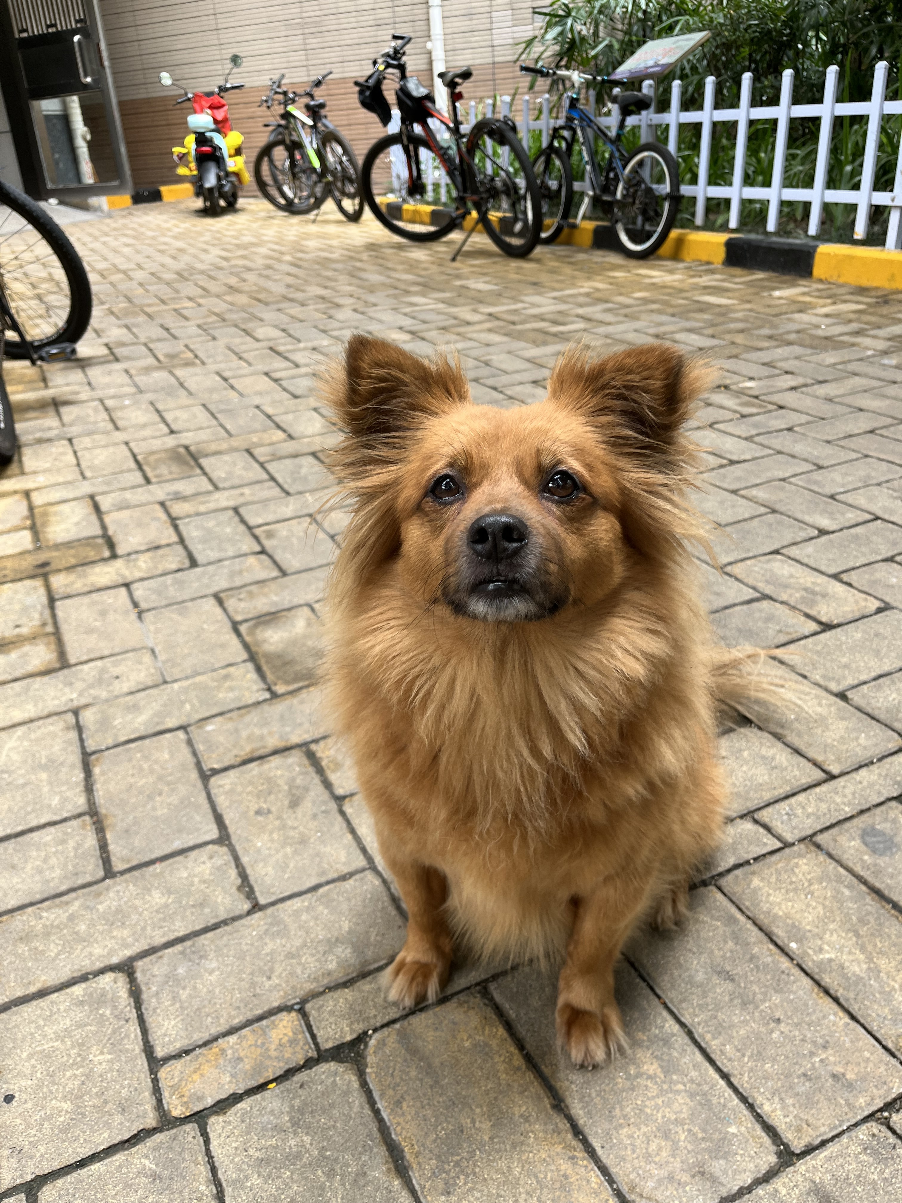 Vol.17 分享下定制的 splatoon3 铭牌跟斜跨包